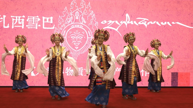 北京建藏援藏工作者协会庆祝西藏自治区成立60周年