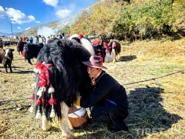 西藏亚东康布乡牧民赛场上“亮本领”，传统技能为乡村振兴赋能