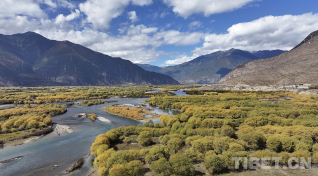 连续九年排名第一，林芝是怎么做到的？