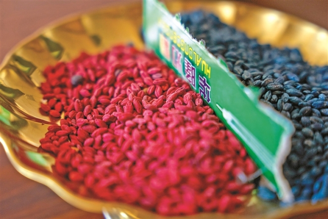 仁青多吉：青稞为笔，绘就文创新画卷