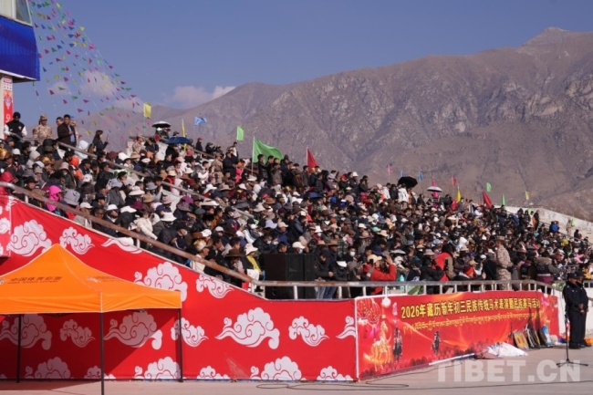 马年赛马！藏历初三，雪域赛马场上演“速度与激情”