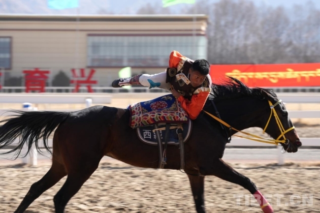 马年赛马！藏历初三，雪域赛马场上演“速度与激情”