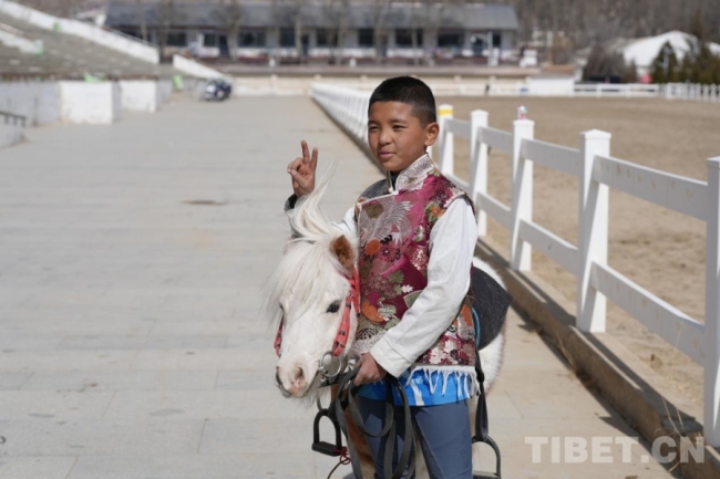 马年赛马！藏历初三，雪域赛马场上演“速度与激情”