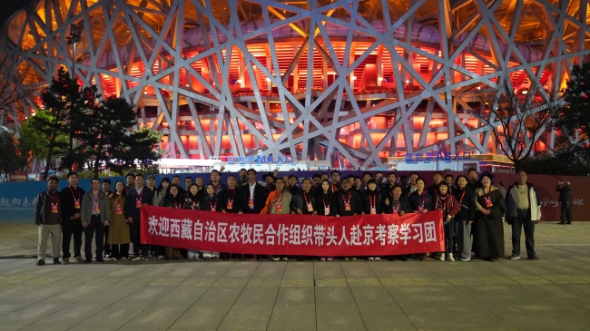 西藏农牧民合作组织带头人赴京考察团参观国家体育场“鸟巢” 