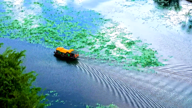 乘画舫船赏湖光山色。