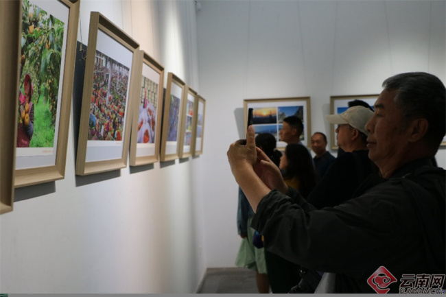 “团结花开·幸福春城”摄影展在昆明市博物馆开幕