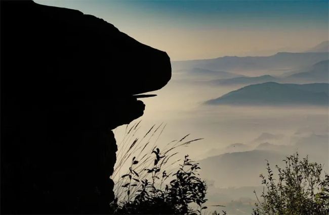 赏金秋菊韵！10月出游就到楚雄武定狮子山