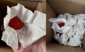 妈妈用纸包草莓带给女儿