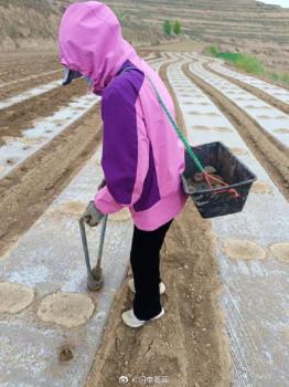 大学女生五一回家帮父母雨中施肥 农活提前完成，家人共感幸福