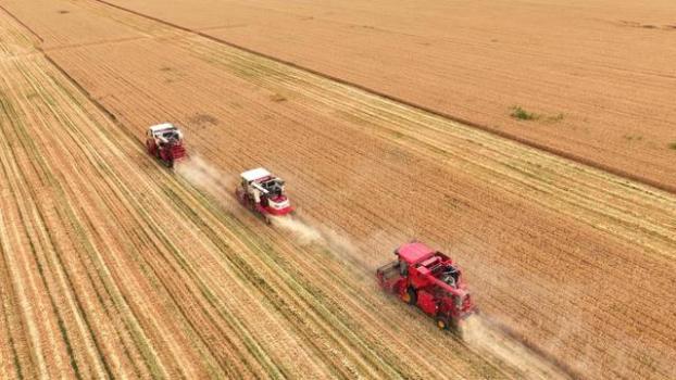 ("三夏"生产观察)新趋势：智能农机节水灌溉引领高效农业