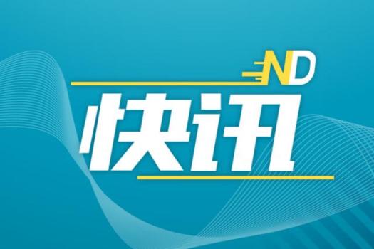 东莞经济联合社非法占地被罚 22张罚单总额超224万