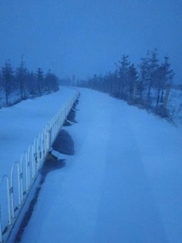 北京下雪了 雨雪天气持续请注意保暖