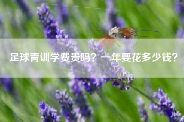 体育“鸡娃”有多贵 足球青训费有多贵？并不像网上说的那么离谱？