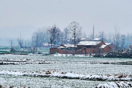 “最怕三九不下雪”三九不下雪有啥预兆？预示来年或有倒春寒