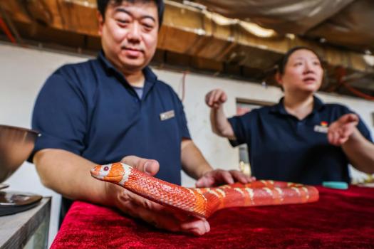 北京動物園爬行館火了 蛇年科普熱