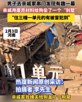 親戚用廢棄材料給狗壘了個(gè)別墅 網(wǎng)友：住三幢一單元的我,，突然感覺有被冒犯到