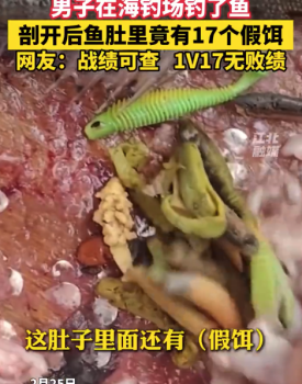 男子釣魚剖開魚肚發(fā)現(xiàn)17個(gè)假餌