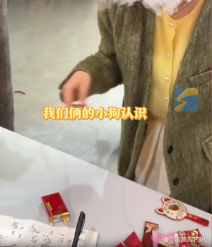 遛狗搭子結(jié)婚女子隨禮寫狗名 養(yǎng)狗人的默契與友情