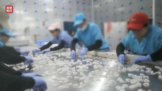 各地连夜出手调查315涉事企业 多部门迅速响应