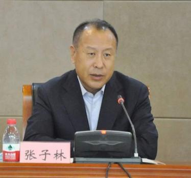 黑龙江绥化原市长张子林被查 严重违纪违法遭查处