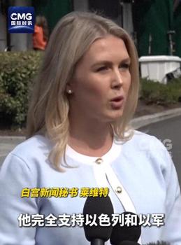 专家：以色列铁心逼哈马斯改变立场 占领加沙施压释放人质