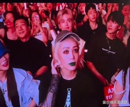 张杰演唱会姐姐们梦幻联动引发热议