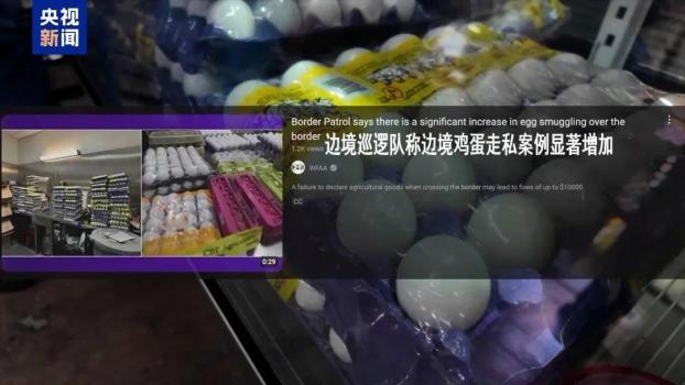 美国人跨境寻蛋 边境鸡蛋走私案增加 蛋价飙升引发走私潮