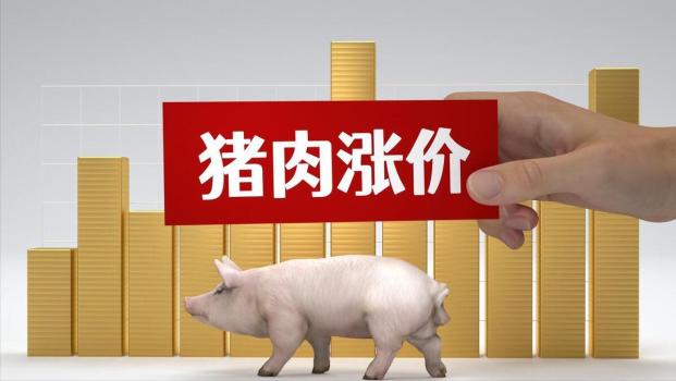 涨猛了，猪价上涨“高歌猛进”！养殖端挺价情绪浓烈