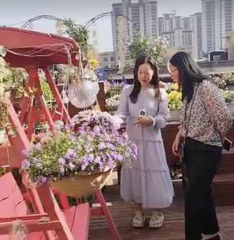 河南一市民三年打造空中花园拥有200余盆花卉