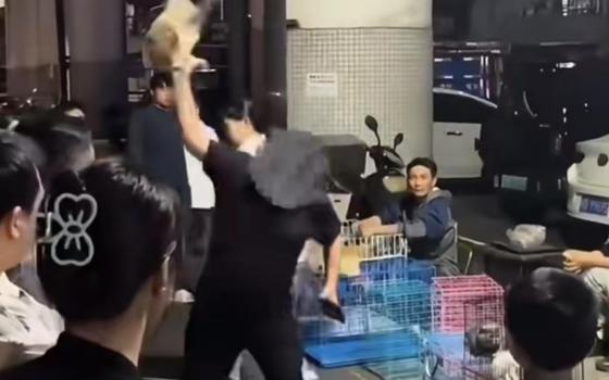 男子买狗不满意欲退款遭拒当场将狗摔死，路人阻止无果心疼抹泪 暴行引发公愤
