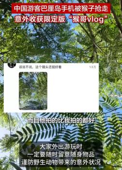 女孩被猴搶手機(jī)收獲猴哥vlog 意外走紅網(wǎng)絡(luò)