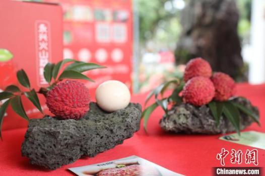 一顆荔枝拍出68000元天價(jià) 火山荔枝王創(chuàng)紀(jì)錄