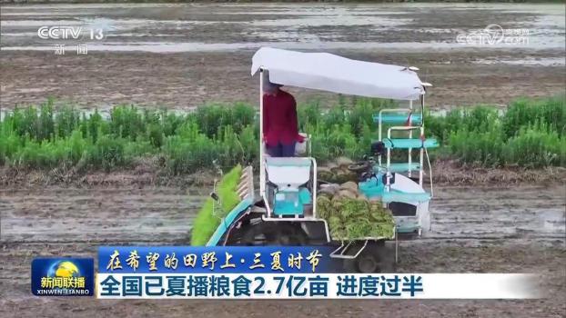 全國夏播糧食2.7億畝 進度過半 播種進度快于常年