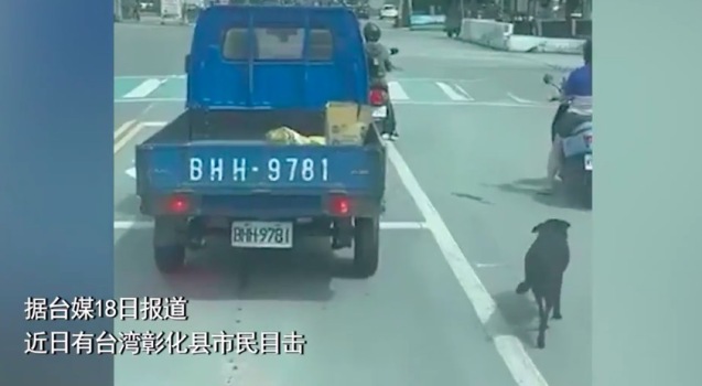 臺(tái)灣一司機(jī)用貨車拴繩遛狗 網(wǎng)友怒了：建議不要養(yǎng)狗