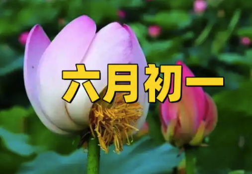 明日六月初一 記得：1地不穿、2物不吃,、4事不做