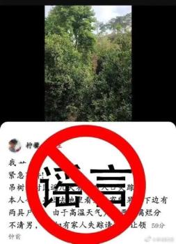 網(wǎng)民編造果樹下現(xiàn)2尸體被罰 虛假信息受懲處