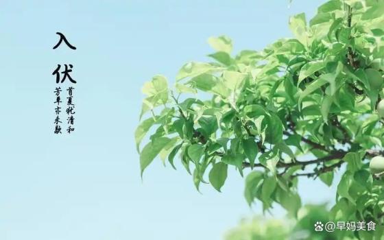 2025年的三伏天很不一樣 30天罕見三伏