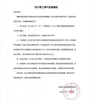 羅馬仕關閉多平臺旗艦店 充電寶安全問題引發(fā)連鎖反應