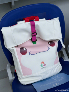 十五运会开幕式现场观赛包都有什么 红蓝两款吉祥物包