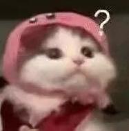 全运会选手倒地庆祝后发现比赛没结束 赛事提前引发关注