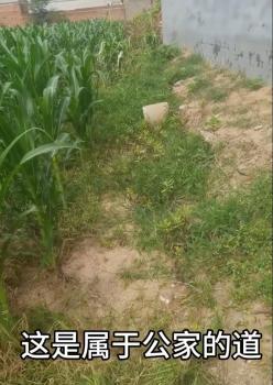 一家5口被害案家属情绪数度崩溃 土地纠纷引发悲剧