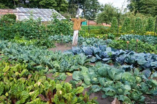 男子挨打杀两人案不符合正当防卫 暴力悲剧警示社会