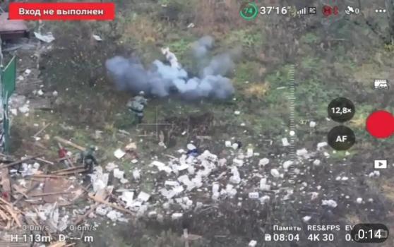 一头猪突然冲出引爆地雷救下两名俄军士兵 意外英雄出现