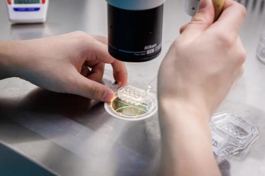 湖南冻胚技术再获刷新 15年冻胚成功诞生