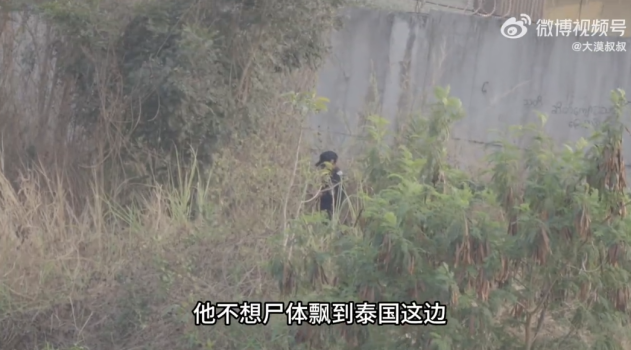 博主摸进妙瓦底诈骗园区，画面曝光！