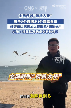 男子2個月喂出1個海鷗食堂 來青島星海灘實現(xiàn)喂海鷗自由！
