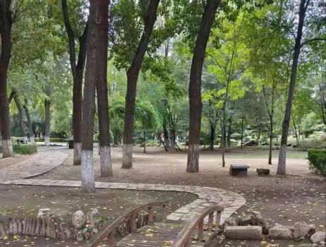 退休老人再就业，我成了大家的“共享奶奶” 填补情感空缺与育儿需求