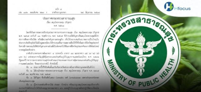 泰大麻合法化三年為何又收緊 社會實驗失敗反思