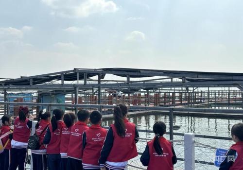 長江禁漁5年新增36種魚 長江禁漁5年見成效