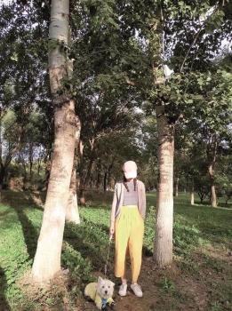 小狗西高地papi主人發(fā)聲 女子為愛犬追兇已堅(jiān)持1000多天